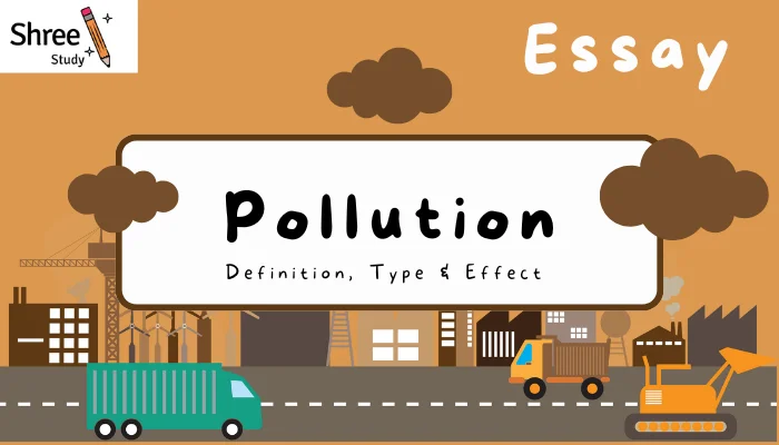 pollution Essay