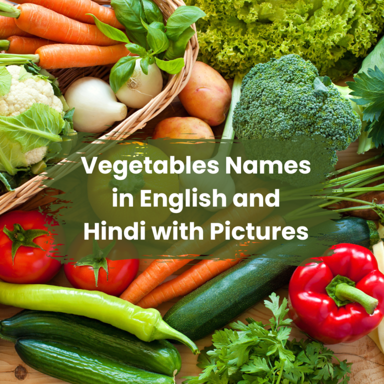 Vegetables Names in English and Hindi with Pictures
